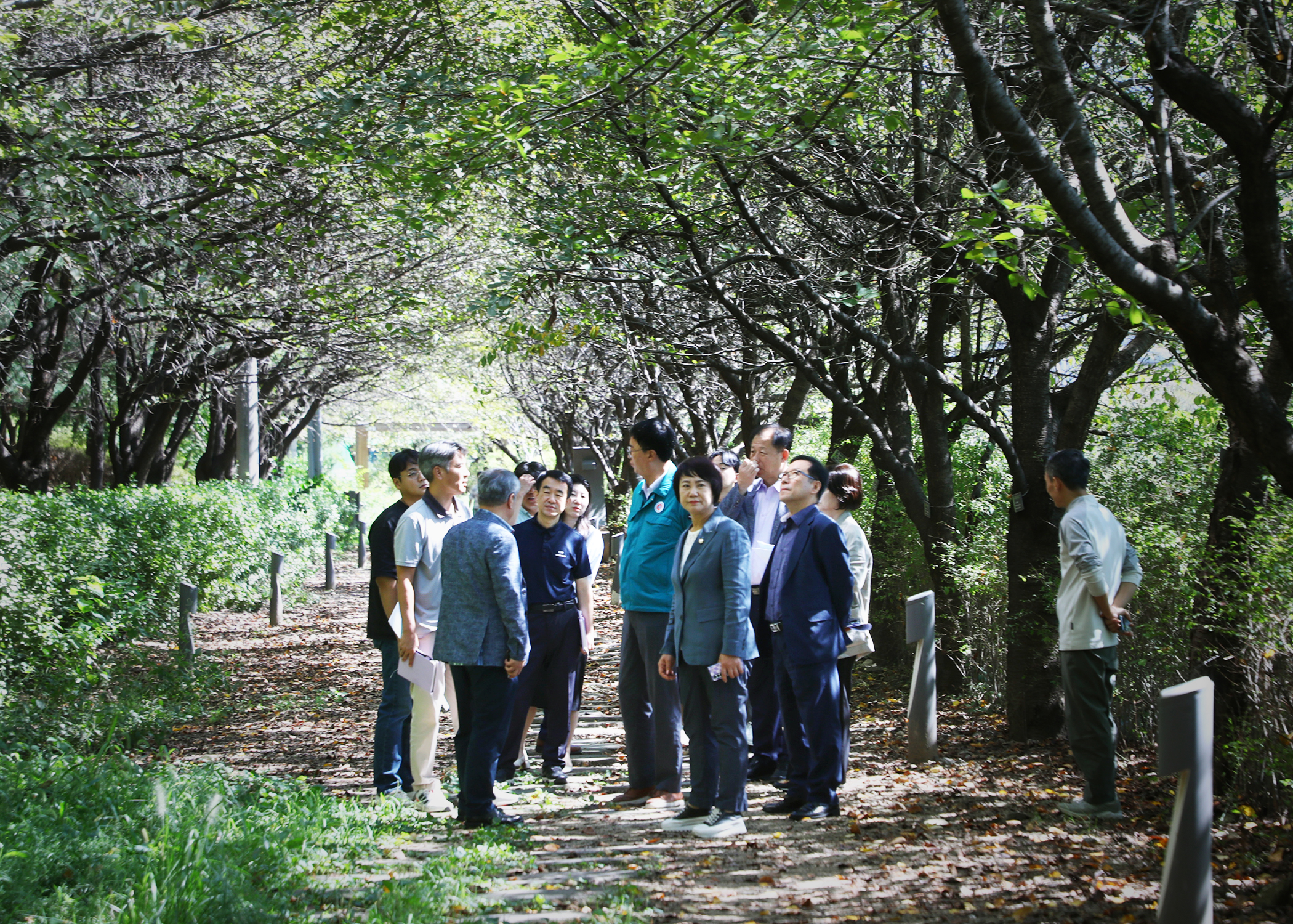 장지천 벚꽃길 현장방문 - 6