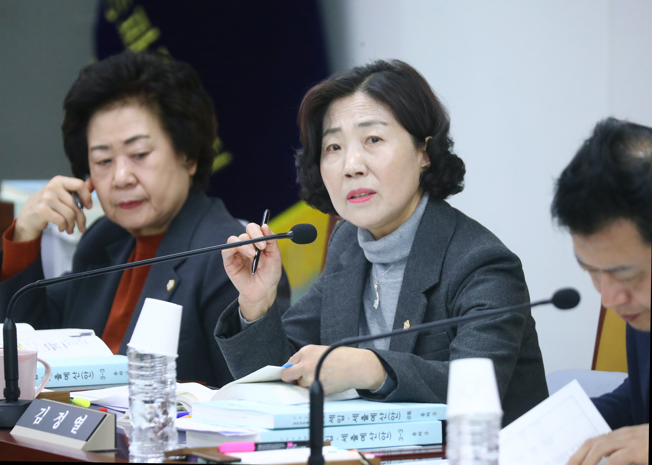 제318회 정례회 예산결산특별위원회 - 12