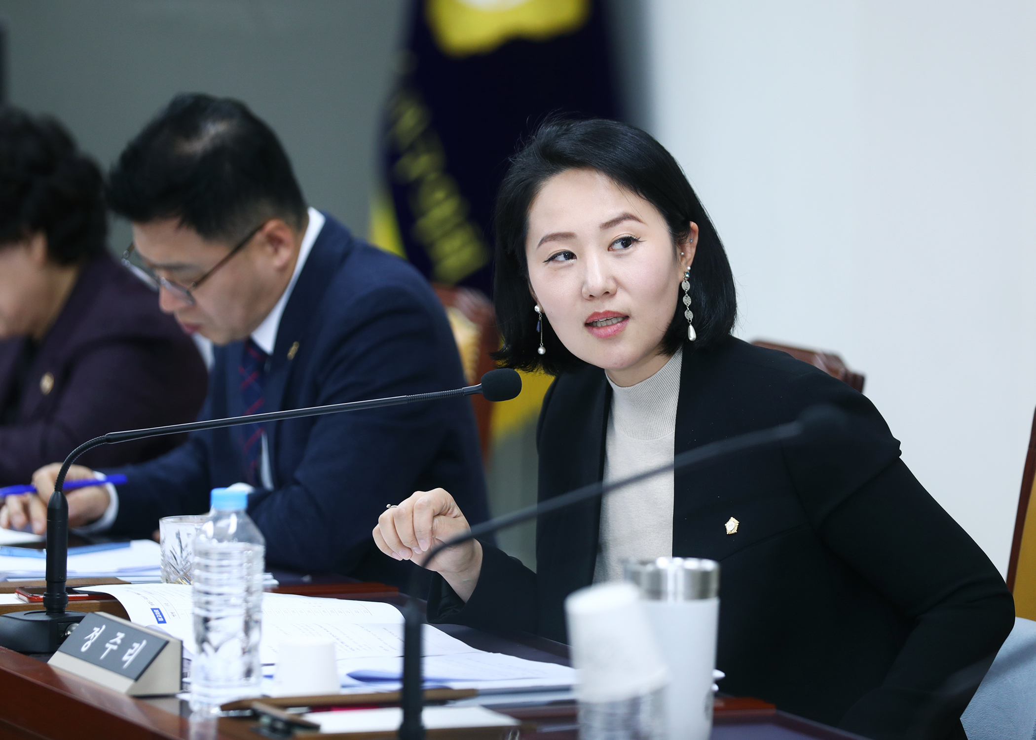 제319회 임시회 운영위원회 - 8