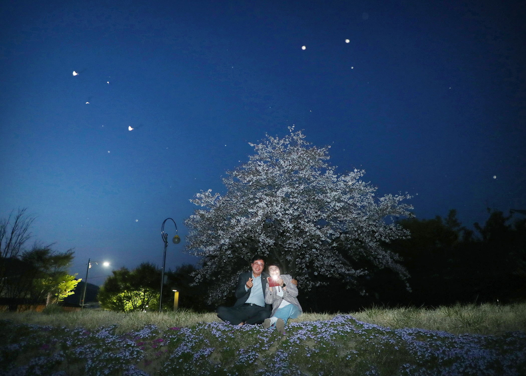 산청군 산불피해 특별재난지역 복구 지원(산청군청) - 16