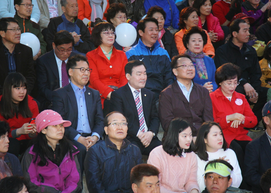 2015 석촌호수 벚꽃축제 - 1