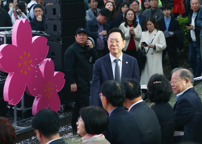 호수벚꽃축제