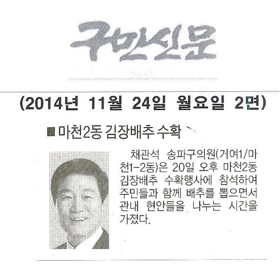 채관석 의원 마천2동 김장배추 수확 [구민신문] - 1